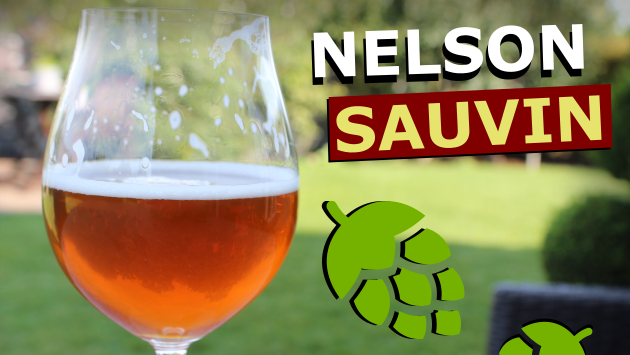 Nelson Sauvin IPA