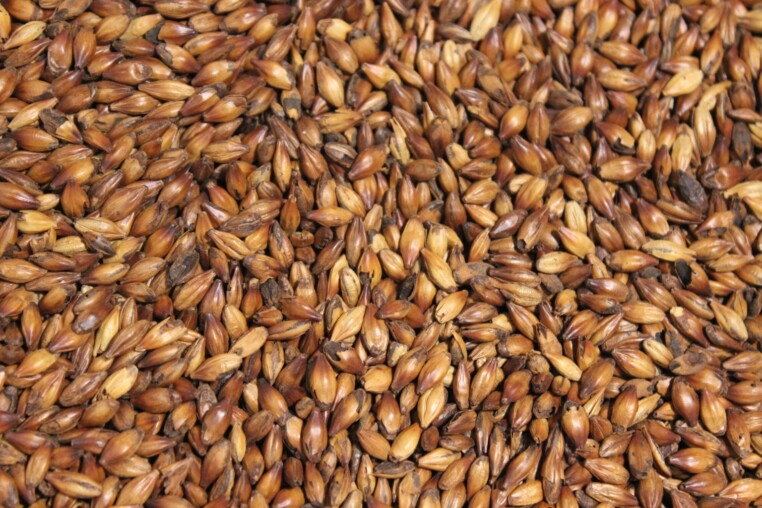 Maltmaster Crushed Weizen Malz