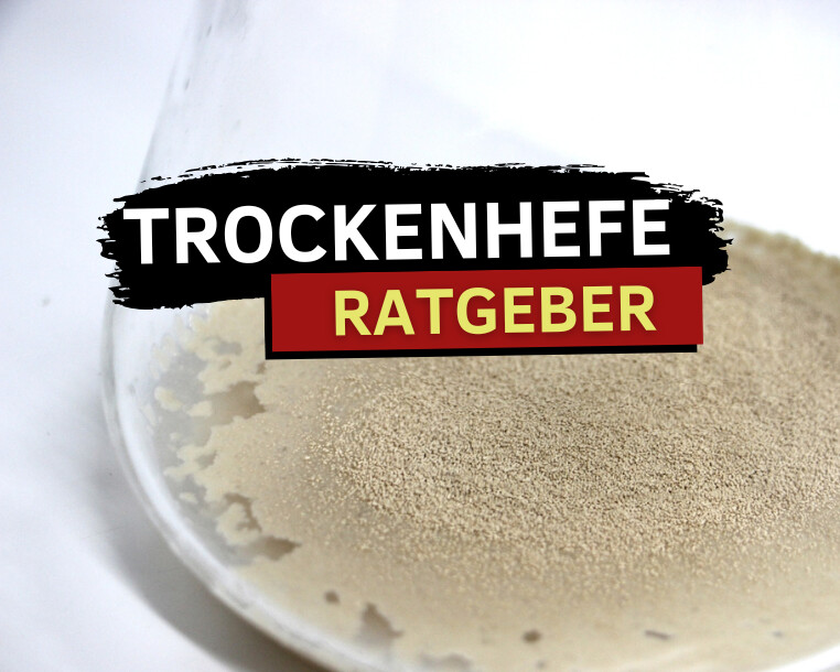 Trockenhefe rehydrieren für Bier und Brot