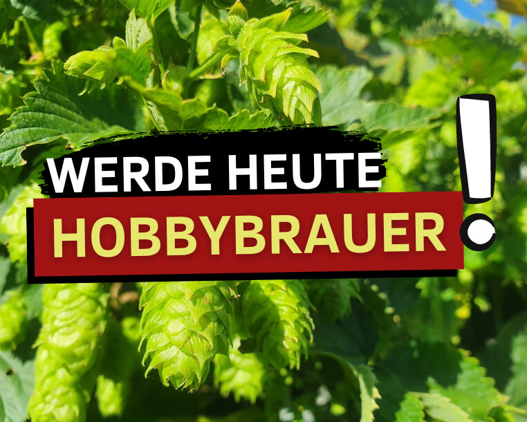 Deswegen musst du Hobbybrauer werden