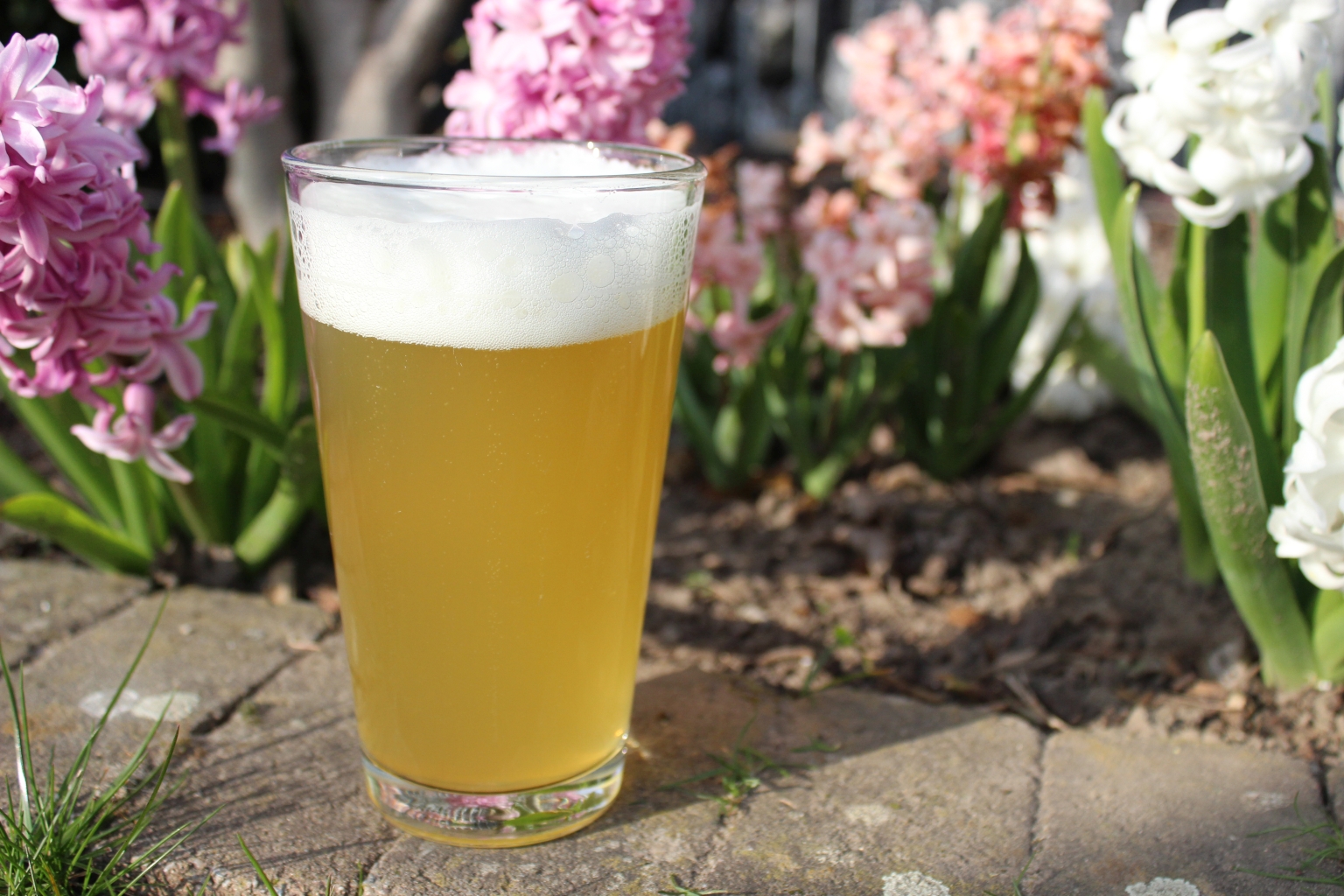 Pures Ananas Aroma! Australian Pale Ale Rezept