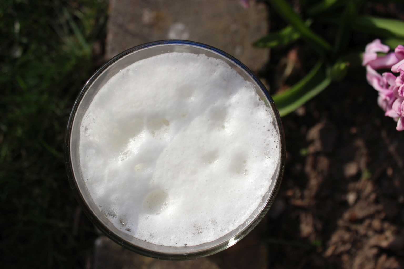 Pures Ananas Aroma! Australian Pale Ale Rezept