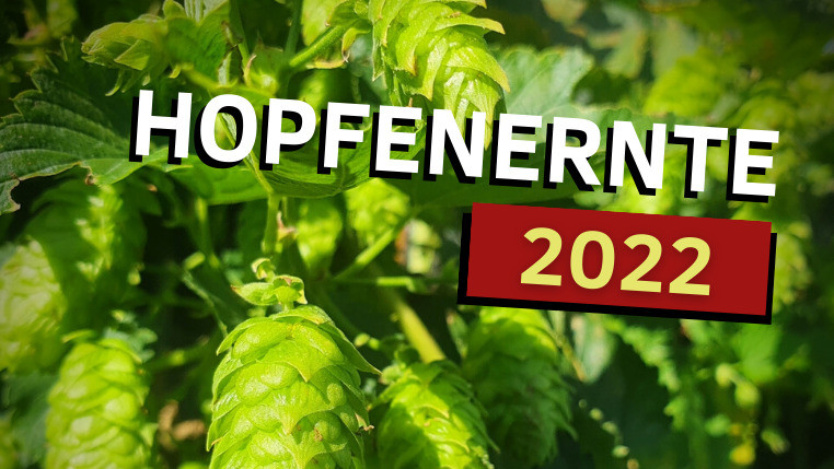 Hopfenernte 2022