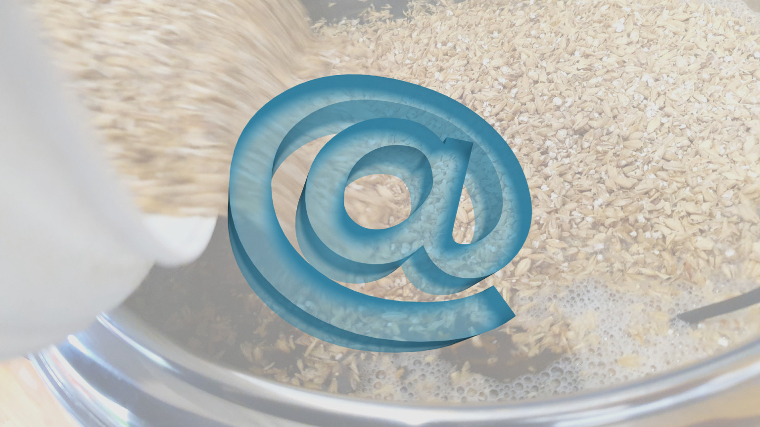 Hobbybrauer Blogs – Hier gibt es weiteren Content!