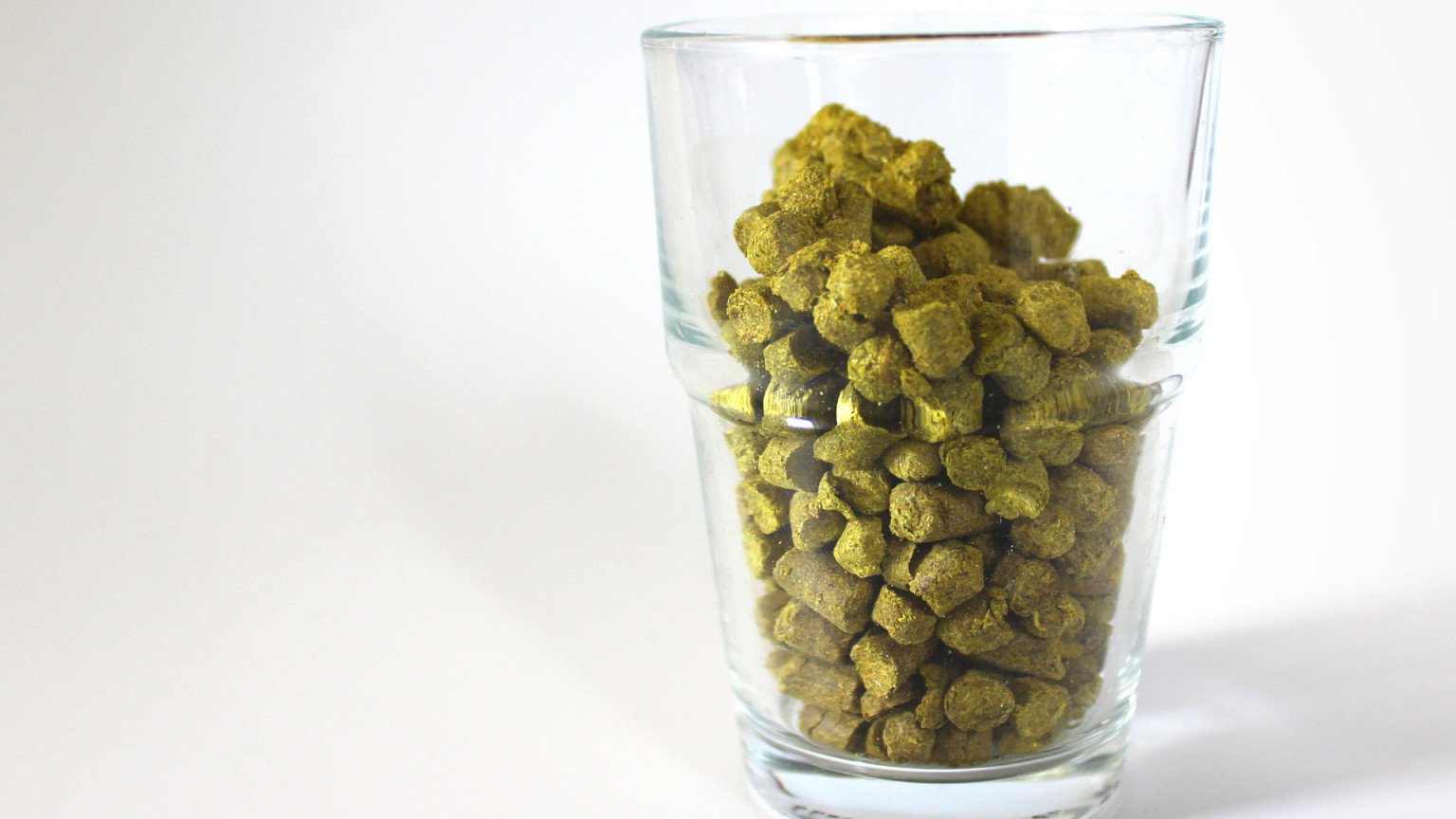 Hopfen für ein Pils