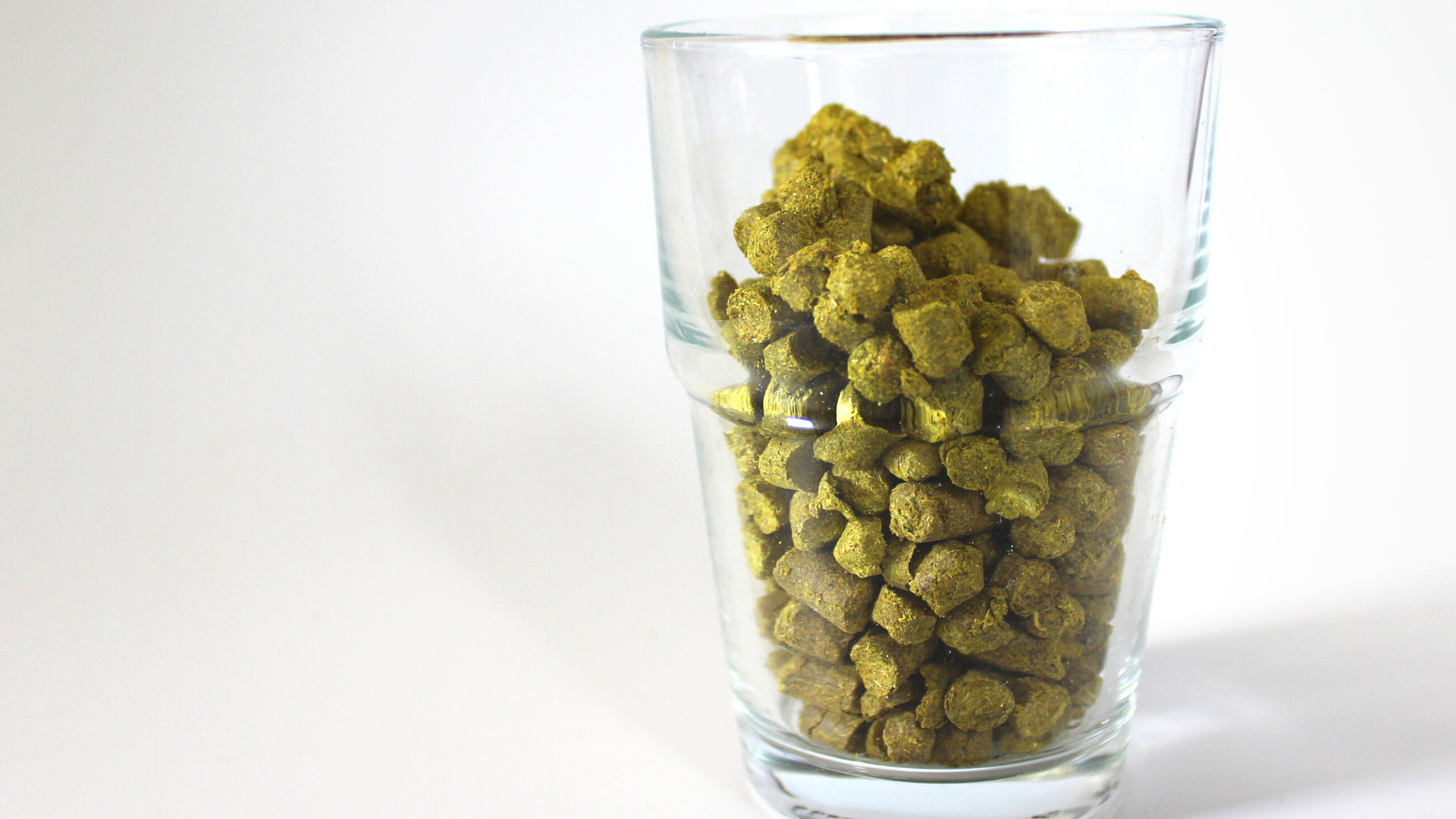 Hopfen für ein Pils