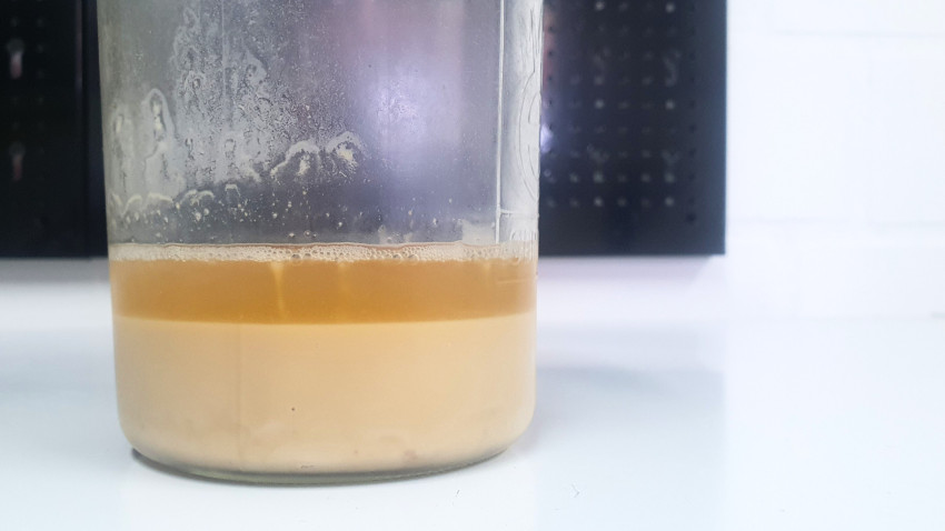 hefe ernten für hobbybrauer