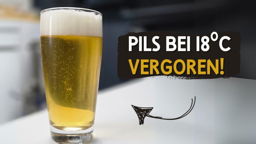 Pils warm vergoren bei 18°C