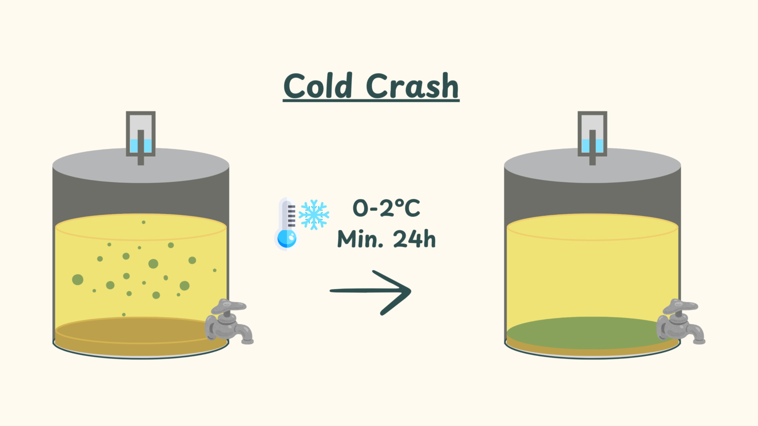 Der Cold Crash bei 0-2°C sollte für mindestens 24 Stunden erfolgen. Dabei sedimentieren Hefe und Hopfenpartikel und ermöglichen eine klare Abfüllung.
