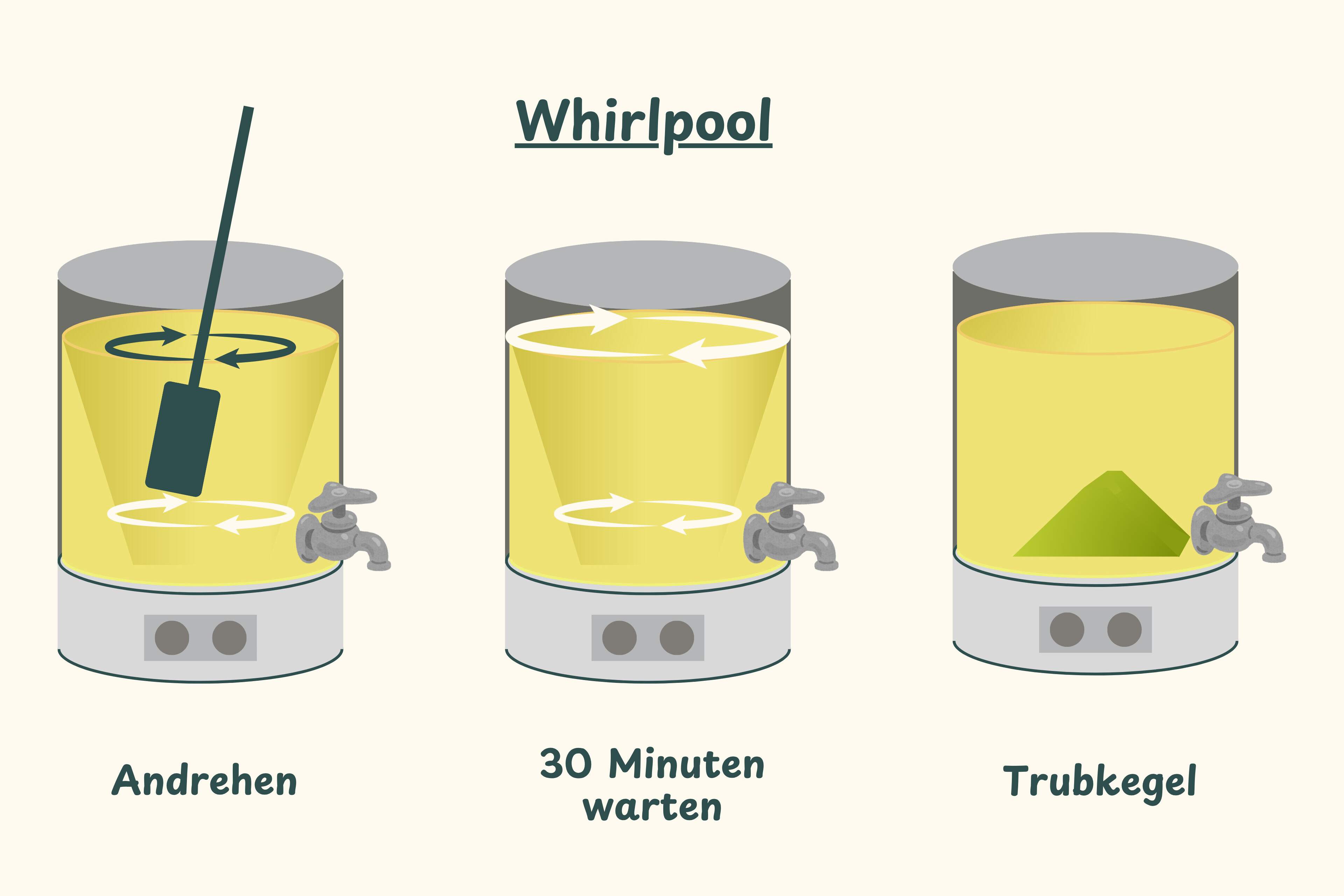 Mit dem Whirlpool filterst du den Heißtrub. Andrehen, 30 Minuten warten und dann hast du einen Trubkegel.