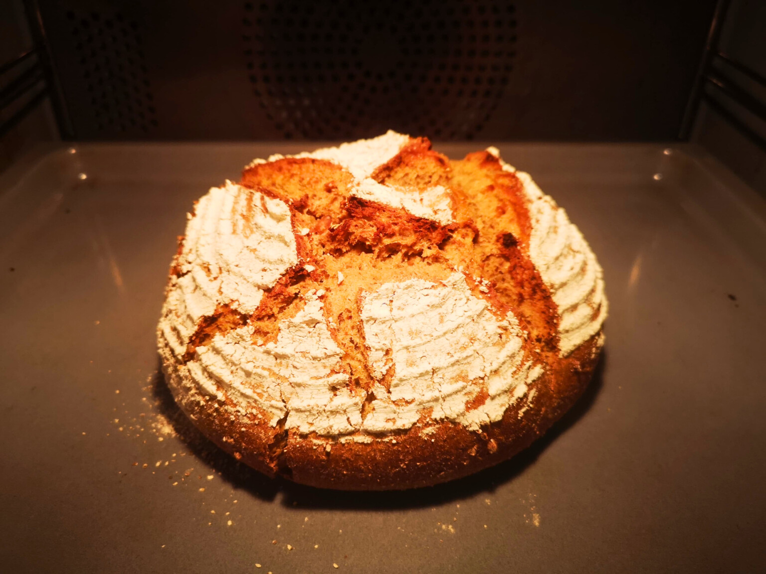 Das fertige Treberbrot aus Biertreber