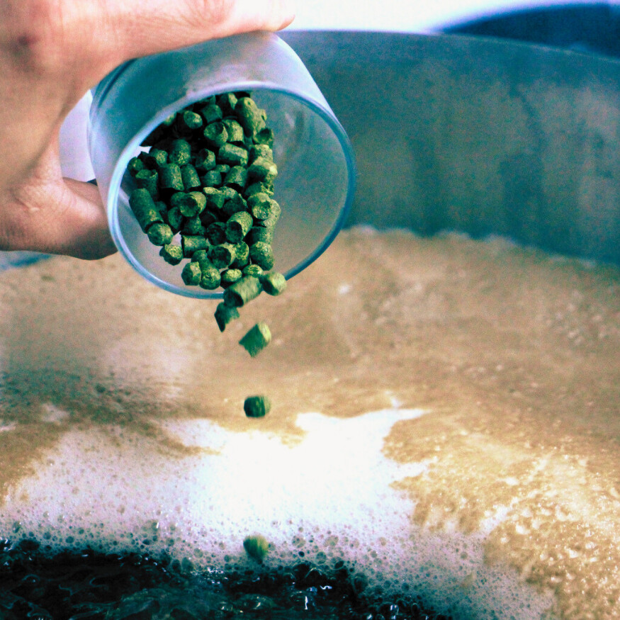 Schritt für Schritt Anleitung zum Bier selber brauen