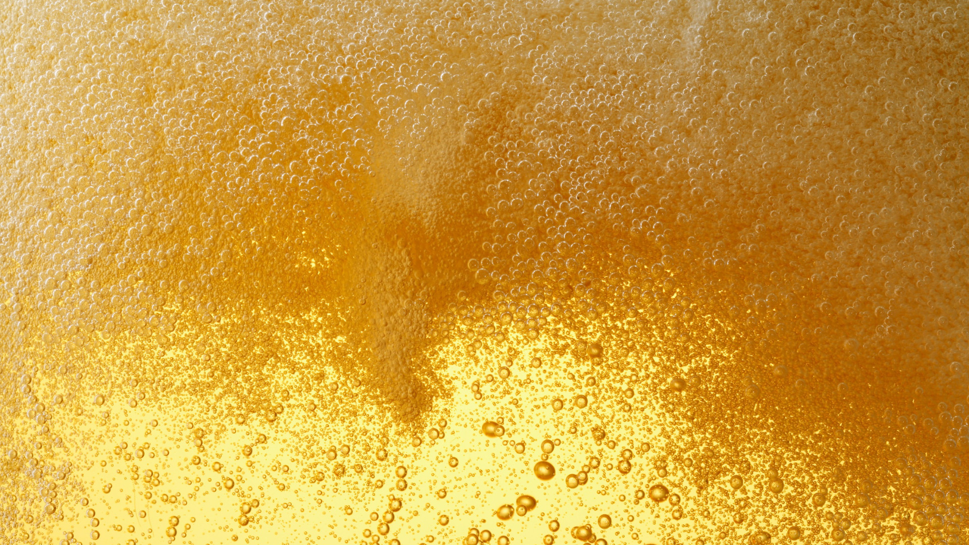 Haltbarkeit von bier