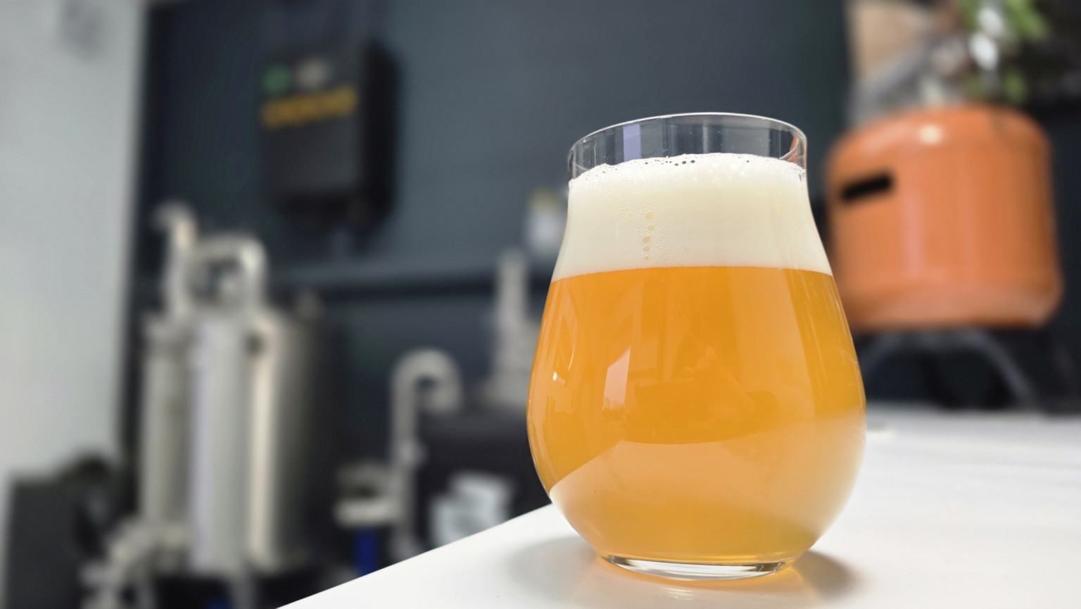 Fermentis SH-45 Test