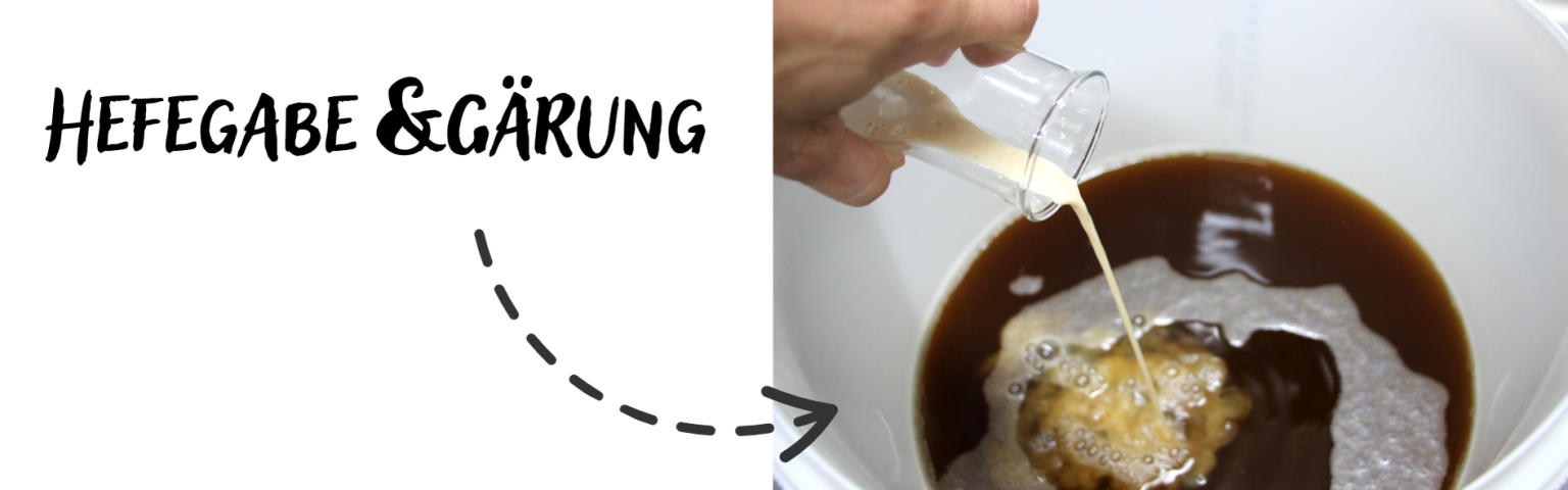 5. Schritt: Hefegabe und Gärung