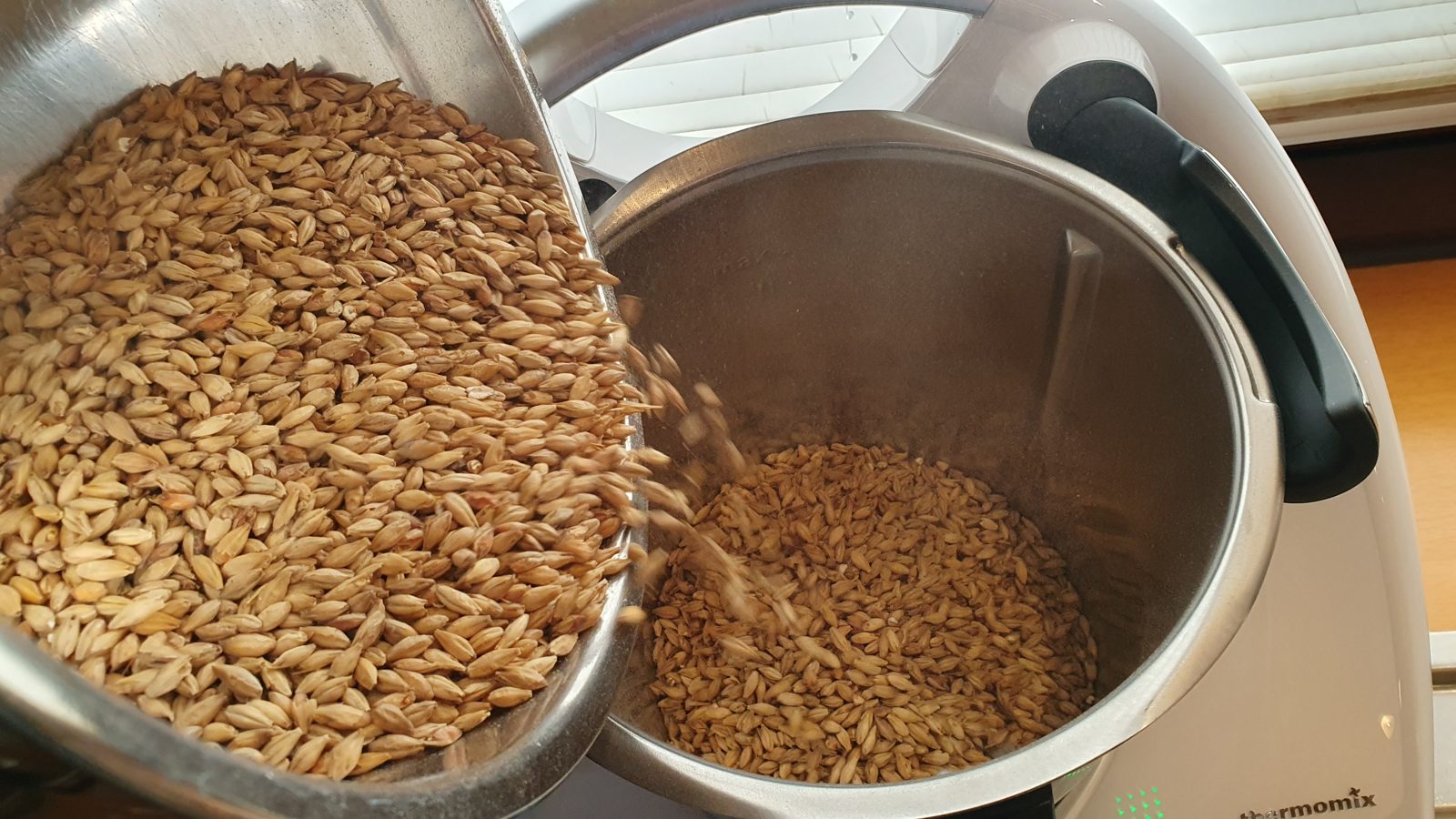Ungeschrotetes Malz fällt zum Schroten in den Thermomix