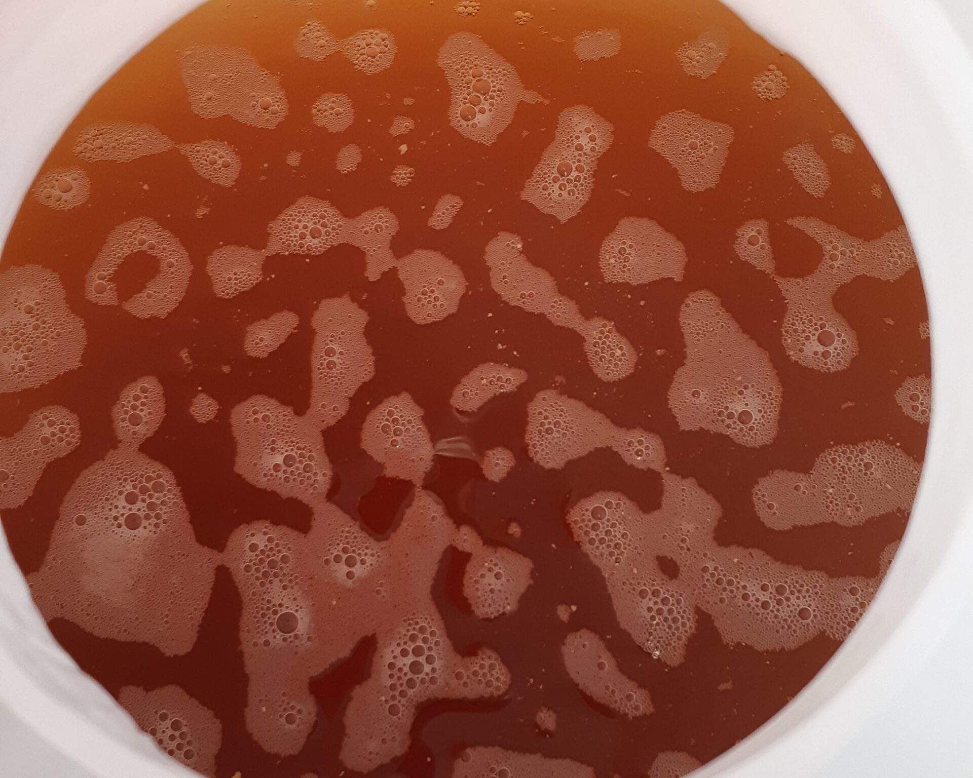 Kleine Schauminseln auf der Würze im Gäreimer, wenn die Gärung beim Bier ankommt