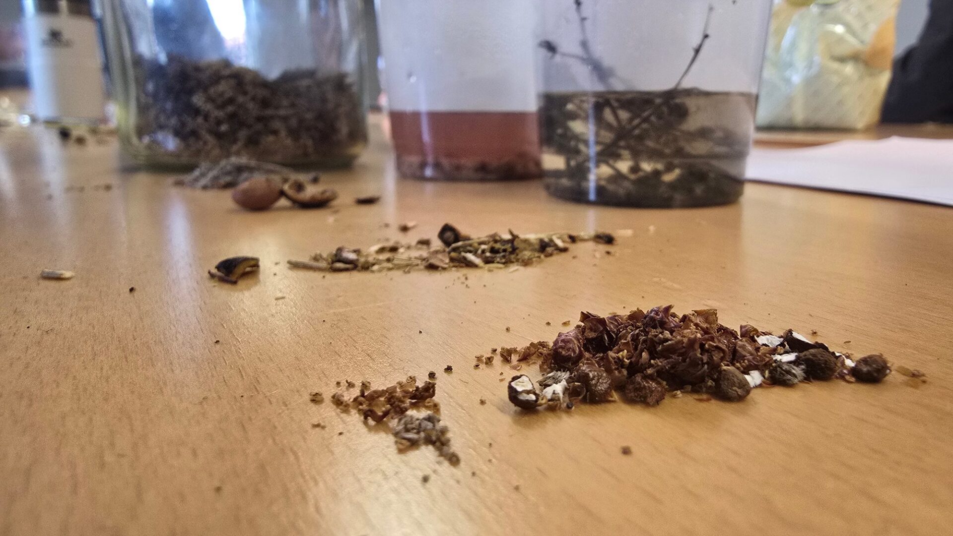 Getrocknete Kräuter und Gewürze für Kräuterbier aus einem Kräuterseminar auf einem Holztisch
