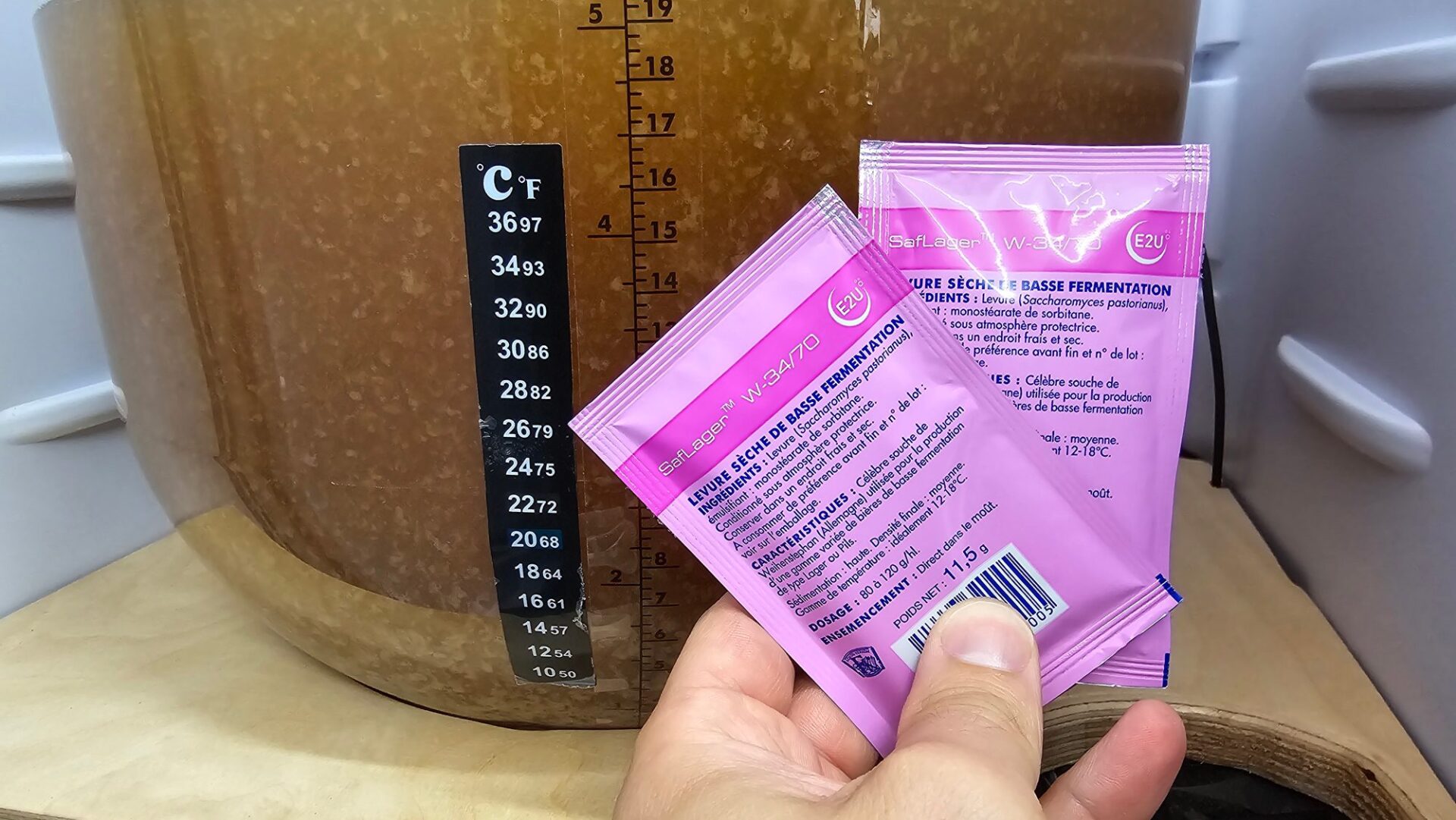 Hand hält zwei Päckchen SafLager W-34/70 Hefe für untergäriges Bier vor einen Gäreimer mit gärender Würze und Klebethermometer