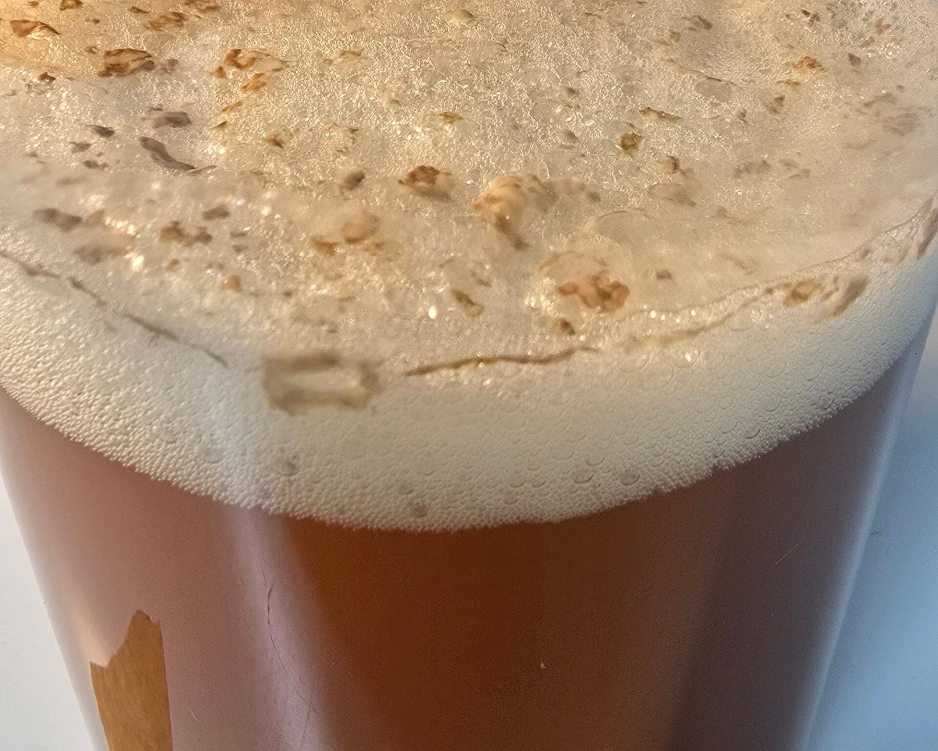 Hochkräusen bei der Gärung, dicke Kräusen mit Hefe und Hopfenresten im durchsichtigen Gärbehälter